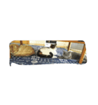 pupu0529（個別スタンプ：8）