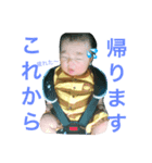 ひなたんスタンプ2（個別スタンプ：1）