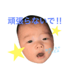 ひなたんスタンプ2（個別スタンプ：4）