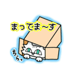 ネコで伝える基本の言葉（個別スタンプ：19）