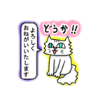 ネコで伝える基本の言葉（個別スタンプ：28）