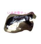 ぼくジャンヌ（個別スタンプ：8）