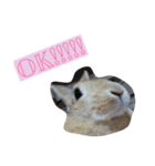シータともふぃ（個別スタンプ：12）