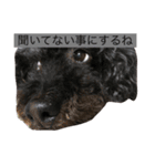 藤城さん（個別スタンプ：2）