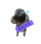 藤城さん（個別スタンプ：3）