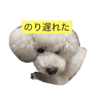 藤城さん（個別スタンプ：8）