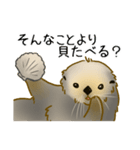 全力でとぼけたいラッコ（個別スタンプ：6）