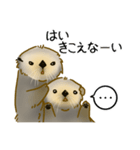 全力でとぼけたいラッコ（個別スタンプ：12）
