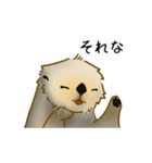 全力でとぼけたいラッコ（個別スタンプ：16）