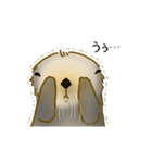 全力でとぼけたいラッコ（個別スタンプ：25）