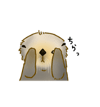 全力でとぼけたいラッコ（個別スタンプ：26）