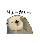 全力でとぼけたいラッコ（個別スタンプ：28）