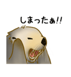 全力でとぼけたいラッコ（個別スタンプ：36）