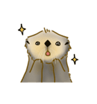 全力でとぼけたいラッコ（個別スタンプ：39）
