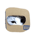 うちの宝物（個別スタンプ：28）