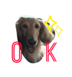 ku-stamp（個別スタンプ：1）