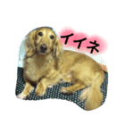 ku-stamp（個別スタンプ：2）