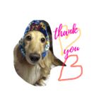 ku-stamp（個別スタンプ：3）