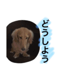 ku-stamp（個別スタンプ：5）