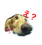 ku-stamp（個別スタンプ：6）