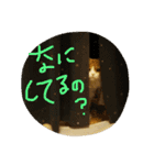 スコティッシュのMILKくん（個別スタンプ：3）