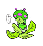 そら豆太郎（個別スタンプ：16）