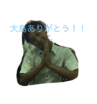 大島スタンプ（個別スタンプ：6）