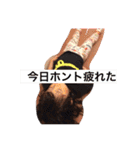 ちょこっと方言(片山津)（個別スタンプ：5）
