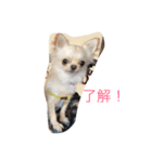 cyana（個別スタンプ：6）