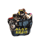 cyana（個別スタンプ：7）