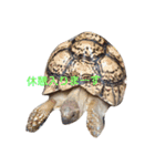 動物たちが物申す。（個別スタンプ：4）