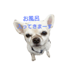 動物たちが物申す。（個別スタンプ：14）