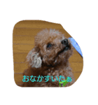 roco-raimu（個別スタンプ：1）