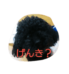roco-raimu（個別スタンプ：2）