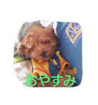 roco-raimu（個別スタンプ：4）