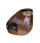 roco-raimu（個別スタンプ：7）