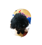 roco-raimu（個別スタンプ：8）