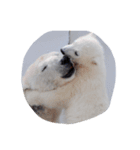 みんな大好き動物園（個別スタンプ：2）