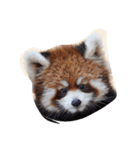 みんな大好き動物園（個別スタンプ：4）