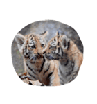 みんな大好き動物園（個別スタンプ：7）