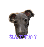 ナナのきもち（個別スタンプ：5）