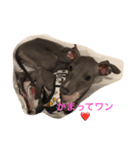 ナナのきもち（個別スタンプ：6）