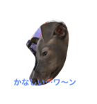 ナナのきもち（個別スタンプ：7）