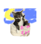 しみ（個別スタンプ：1）
