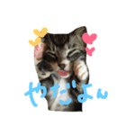 しみ（個別スタンプ：8）