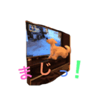 マロンの本音（個別スタンプ：8）