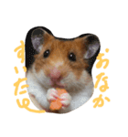 ハムスターのスナ（個別スタンプ：2）