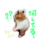 ハムスターのスナ（個別スタンプ：3）