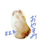 ハムスターのスナ（個別スタンプ：5）