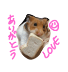 ハムスターのスナ（個別スタンプ：7）